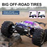 Electric 4WD RC Monster Truck SCY-16101 