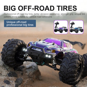 Electric 4WD RC Monster Truck SCY-16101 