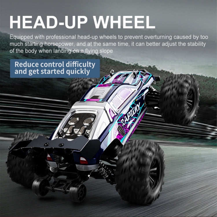 Electric 4WD RC Monster Truck SCY-16101 