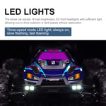 Electric 4WD RC Monster Truck SCY-16101 