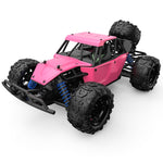 RC 9303E 1:18 4WD High Speed Remote Control Car – Pink