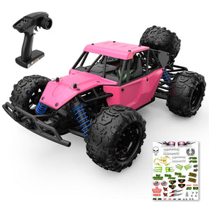 RC 9303E 1:18 4WD High Speed Remote Control Car – Pink