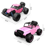 RC 9303E 1:18 4WD High Speed Remote Control Car – Pink