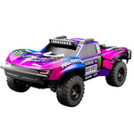JJR/C C8826 1:10 4WD High-Speed RC Car (Pink)