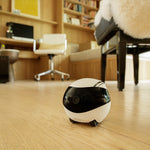 Smart Home Robot Camera EBO SE 1080P 