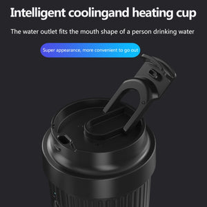 Car Heating & Cooling Water Bottle IDZ016 – Black