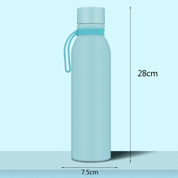 Smart UV Thermos Bottle 650ml Stainless Steel