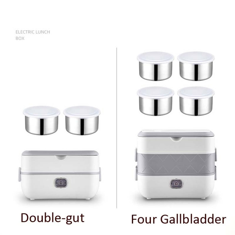 Electric Heated Lunch Box Double Layer 