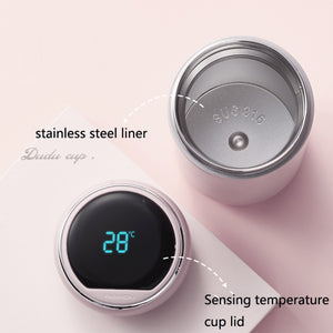 316 Stainless Steel Smart Flask 300ml 
